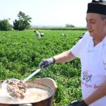 Edirne'nin ciğer kavurmasının lezzet ortağı Karaağaç'ta hasat geç başladı… – Son Dakika Hayat Haberleri