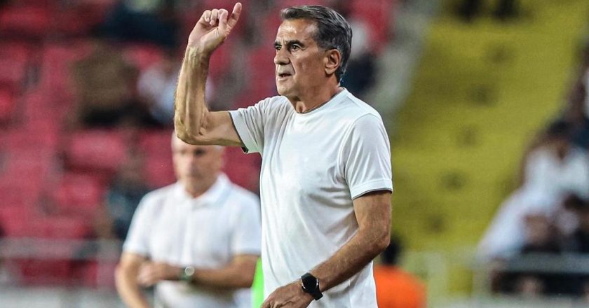 Şenol Güneş: Oynadığımız oyun tatmin edici değil