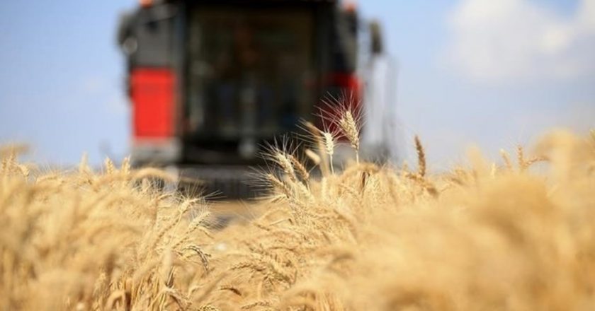 Tarımsal destek ödemesi ne zaman yapılacak? Tarımsal destek ödemesi ne kadar? – Türkiye’den son dakika haberleri