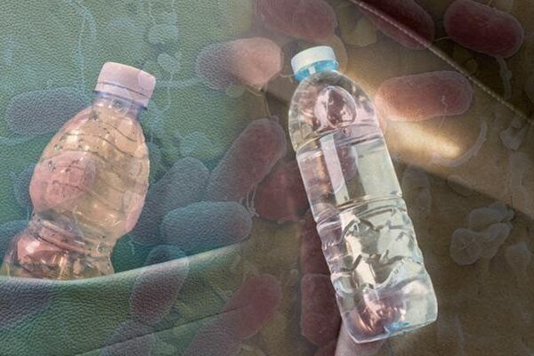 Sıcaklarda arabada unutulan su, sessiz bir tehdit! Serinlemek isterken hasta olmayın: Plastik şişeler kimyasal bir tehlike olabilir mi?