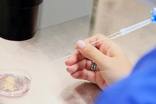 Çocuk sahibi olmak zorlaşıyor! Uzman isim sperm sayısındaki düşüşte en büyük faktörü açıkladı