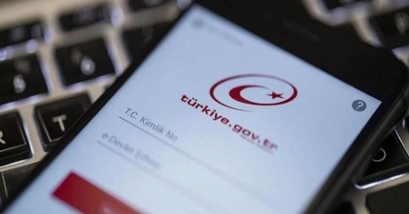 E Devlet platformunda gizli kalan özellikler ilgi topluyor